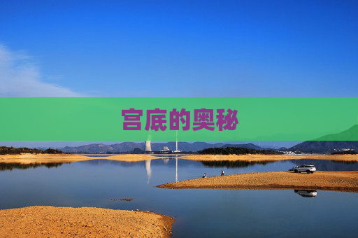 宫底的奥秘