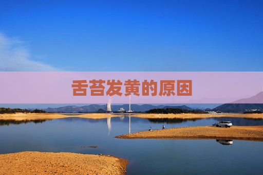 舌苔发黄的原因