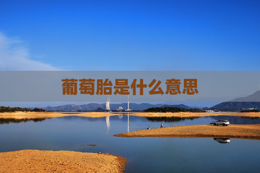 葡萄胎是什么意思