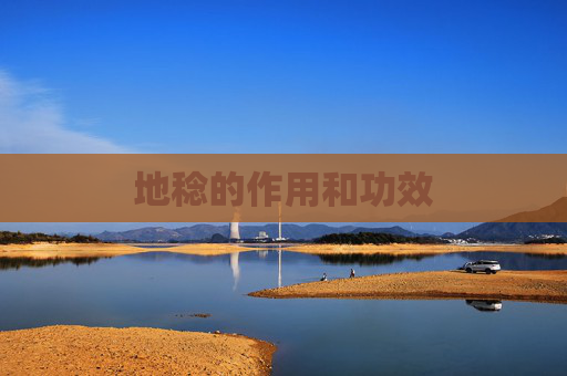 地稔的作用和功效