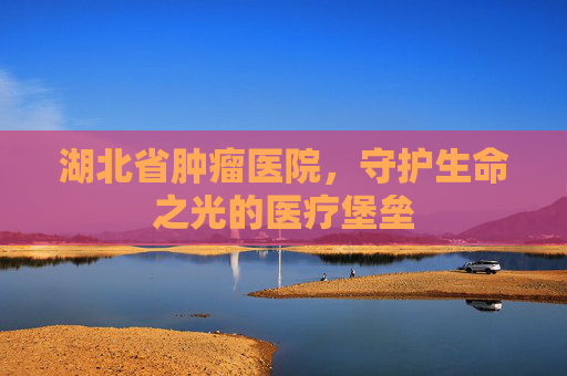 湖北省肿瘤医院，守护生命之光的医疗堡垒