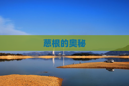 葱根的奥秘