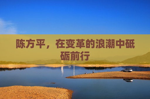 陈方平，在变革的浪潮中砥砺前行