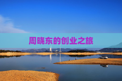 周晓东的创业之旅