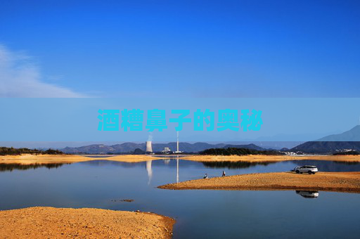 酒糟鼻子的奥秘