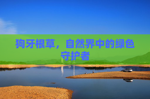 狗牙根草，自然界中的绿色守护者