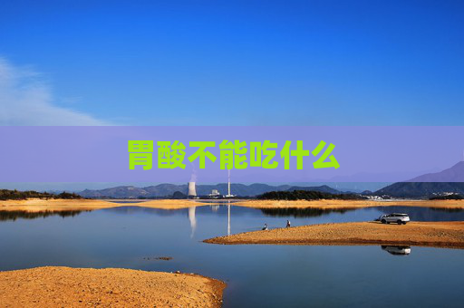 胃酸不能吃什么