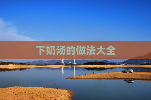 下奶汤的做法大全