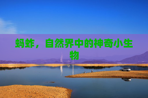 蚂蚱，自然界中的神奇小生物