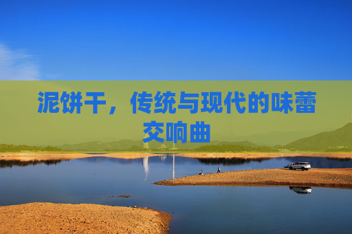 泥饼干，传统与现代的味蕾交响曲