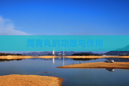 泻青丸的功效与作用
