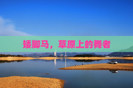 矮脚马，草原上的舞者