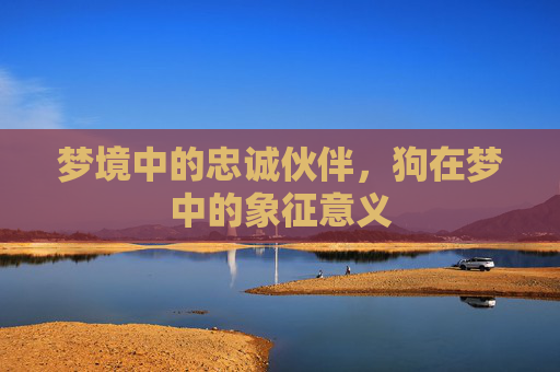 梦境中的忠诚伙伴，狗在梦中的象征意义