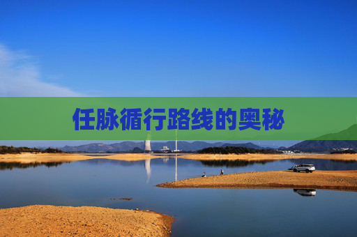 任脉循行路线的奥秘