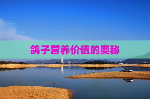 鸽子营养价值的奥秘