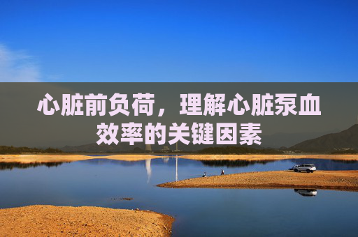 心脏前负荷，理解心脏泵血效率的关键因素