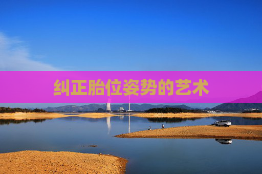 纠正胎位姿势的艺术