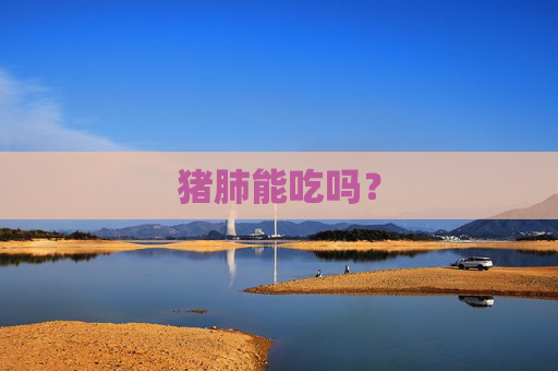 猪肺能吃吗？