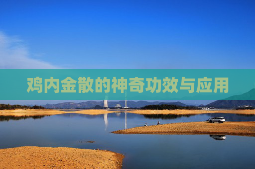 鸡内金散的神奇功效与应用