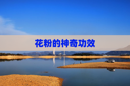 花粉的神奇功效