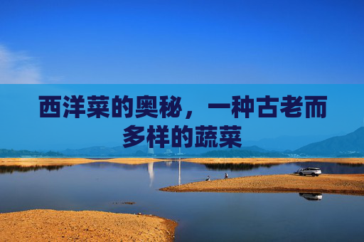 西洋菜的奥秘，一种古老而多样的蔬菜