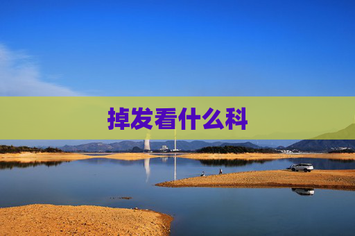 掉发看什么科