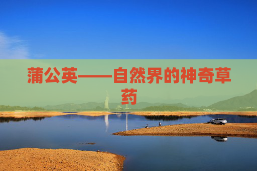 蒲公英——自然界的神奇草药
