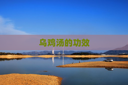 乌鸡汤的功效