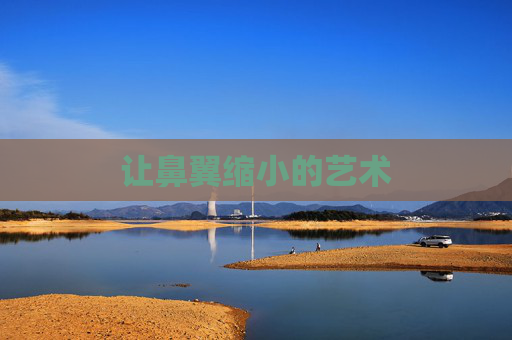 让鼻翼缩小的艺术