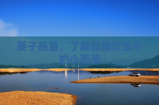 栗子热量，了解健康饮食中的小而美
