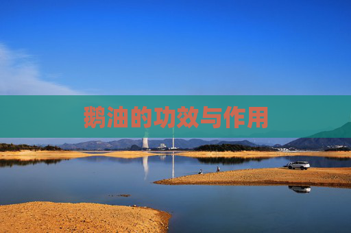 鹅油的功效与作用