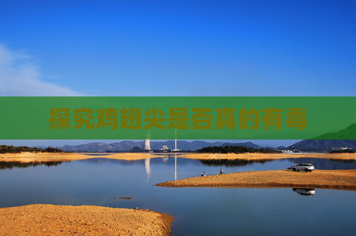 探究鸡翅尖是否真的有毒