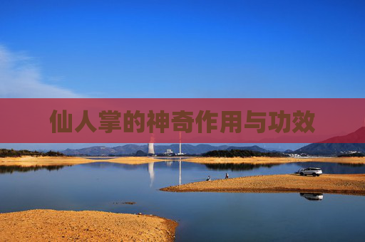 仙人掌的神奇作用与功效