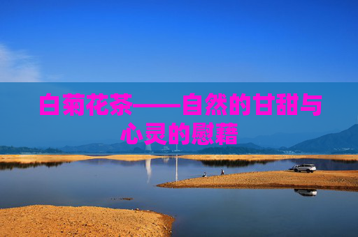 白菊花茶——自然的甘甜与心灵的慰藉