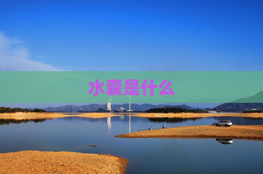水囊是什么
