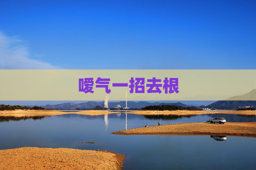 嗳气一招去根