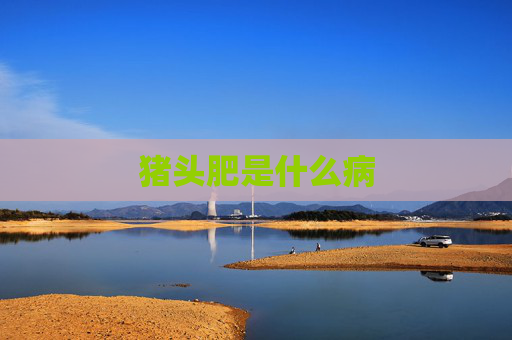 猪头肥是什么病