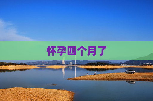 怀孕四个月了
