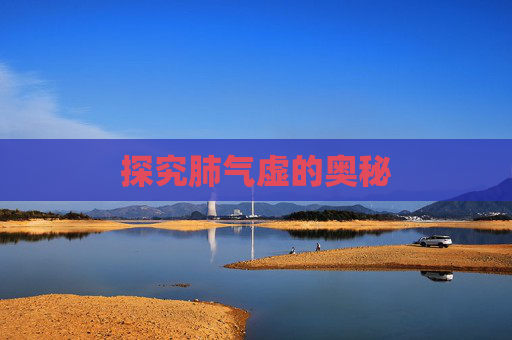 探究肺气虚的奥秘