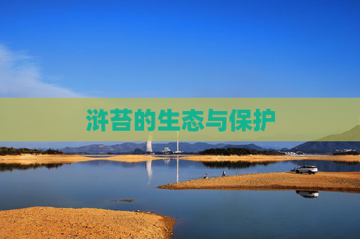浒苔的生态与保护