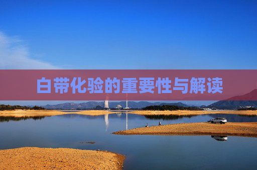 白带化验的重要性与解读