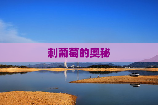 刺葡萄的奥秘