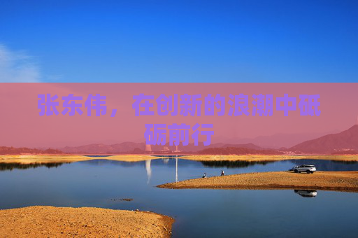 张东伟，在创新的浪潮中砥砺前行