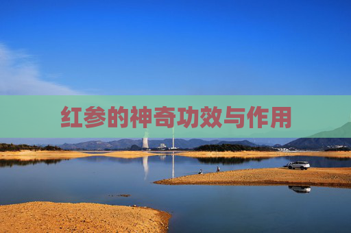 红参的神奇功效与作用