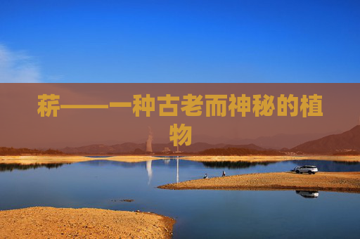 菥——一种古老而神秘的植物