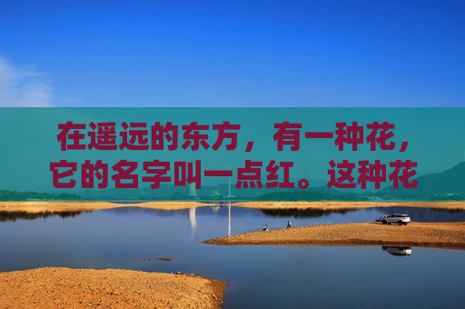 在遥远的东方，有一种花，它的名字叫一点红。这种花并不常见，它生长在一片神秘的森林中，只有那些拥有特殊缘分的人才能看见它。一点红的花瓣如同火焰般燃烧，散发出一种神秘而迷人的香气，让人心醉神迷