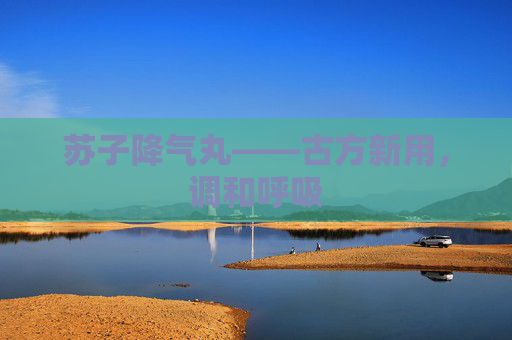 苏子降气丸——古方新用，调和呼吸