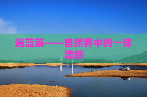 遏蓝菜——自然界中的一抹清新