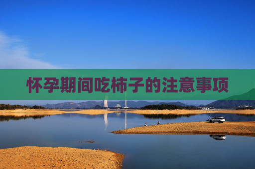 怀孕期间吃柿子的注意事项