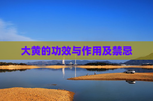 大黄的功效与作用及禁忌